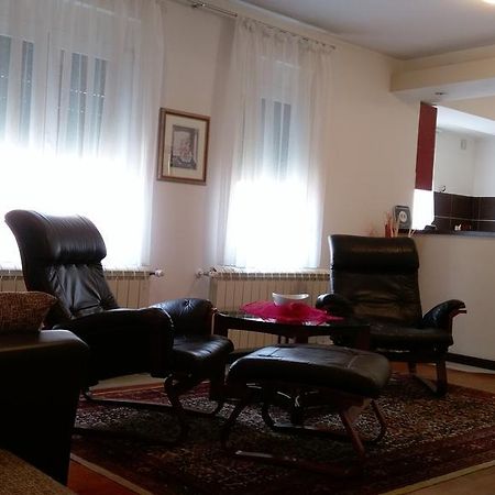 Apartment Krsmanovic Arandjelovac Eksteriør bilde